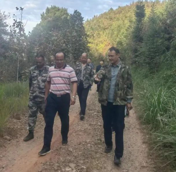 杉木种苗科技攻关项目专家郑仁华博士至  福建9159金莎游艺场调研杉木高世代森林资源培育工作