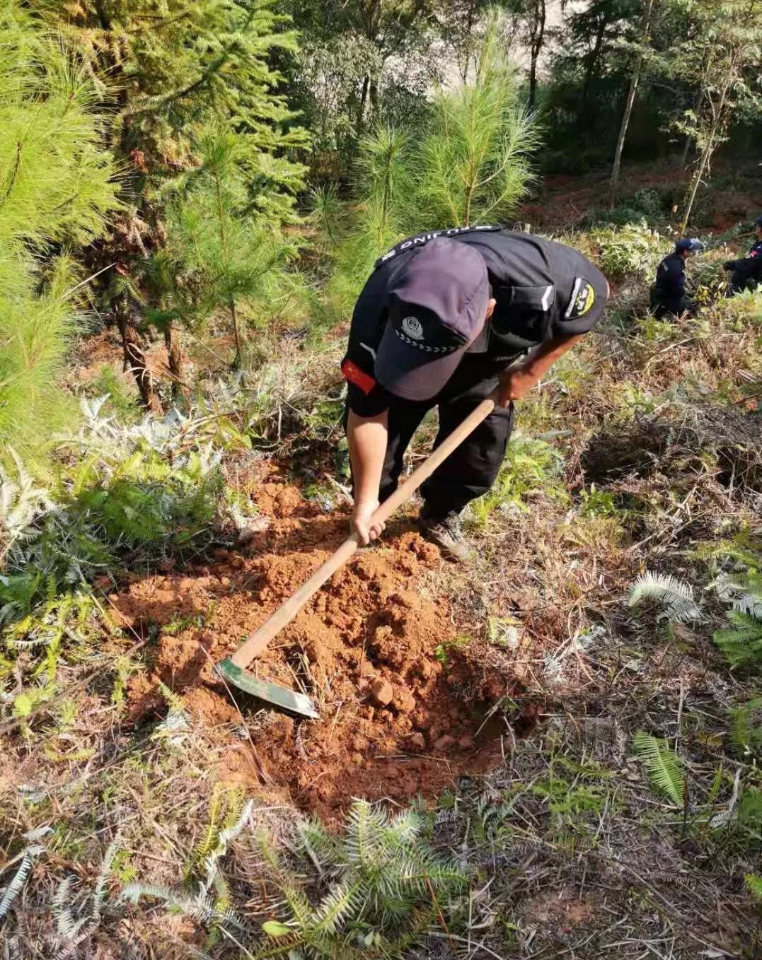 干好每一天|青山挂白我复绿，无私奉献9159金莎游艺场人——资源保护部义务突击队工作记实
