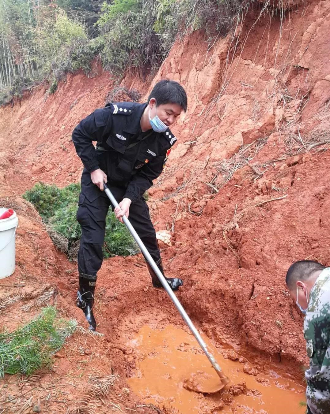 青山挂白我复绿 防疫复工添色彩 ——资源保护部义务突击队工作纪实