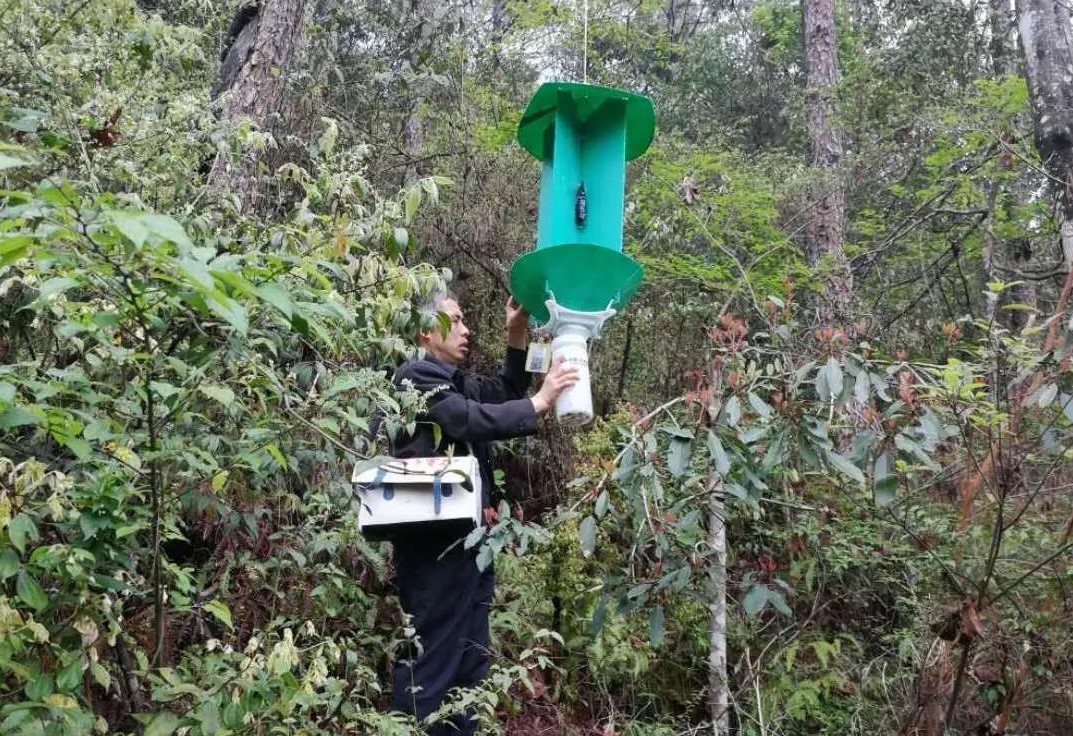 9159金莎游艺场公司开展森林病虫害防治培训