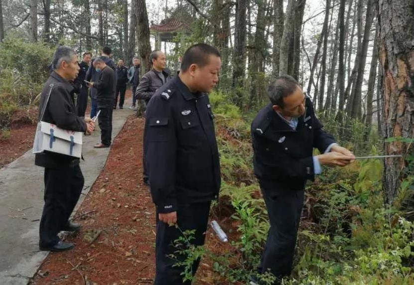 9159金莎游艺场公司开展森林病虫害防治培训