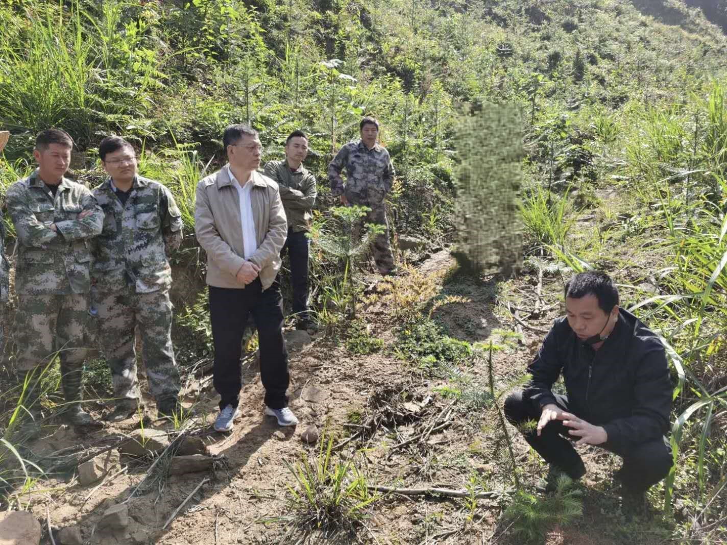 福建9159金莎游艺场召开幼林抚育现场会