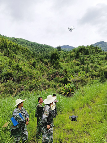 严把森林培育质量关，谱写资源培育新篇章