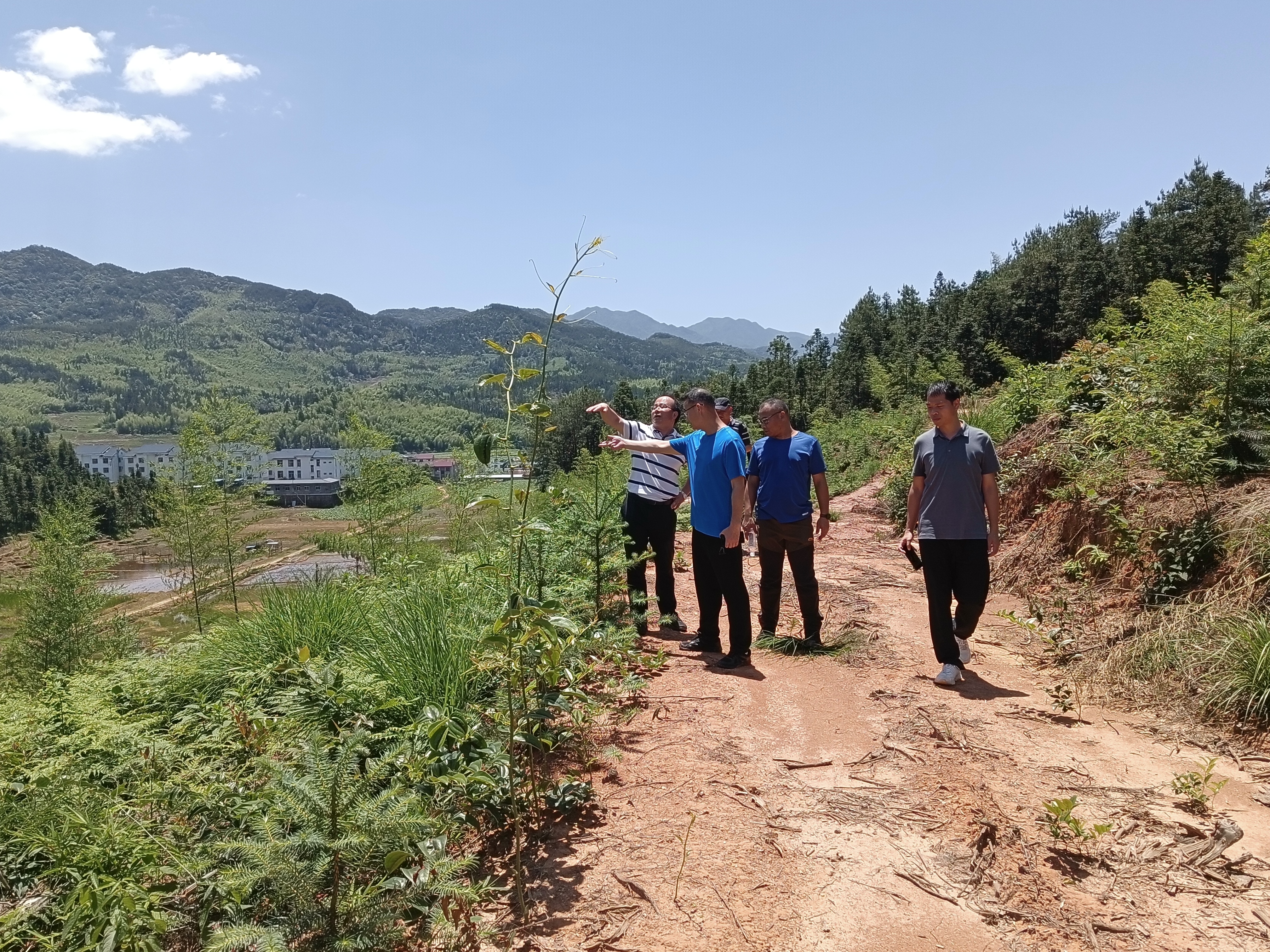 省林科院专家团队赴福建9159金莎游艺场指导森林资源培育工作