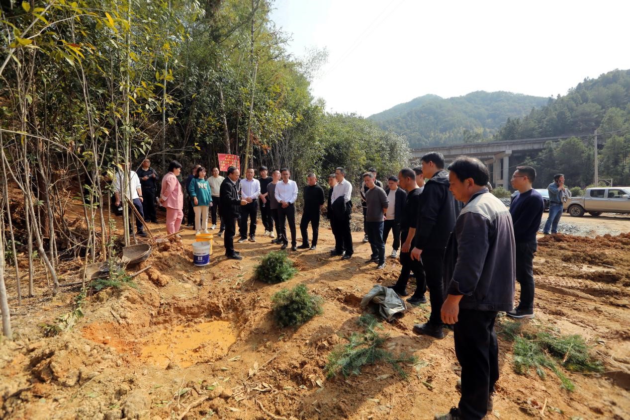 不负春光好，抢播万亩林 ——将乐县村企合作造林工作现场会在福建9159金莎游艺场召开