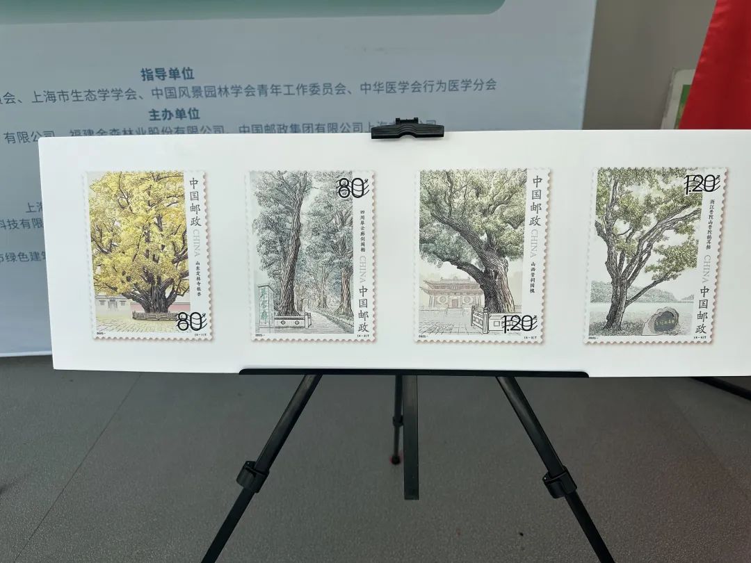 全国生态日来了！福建9159金莎游艺场携手举办上海“山海同普·杏好有你”活动