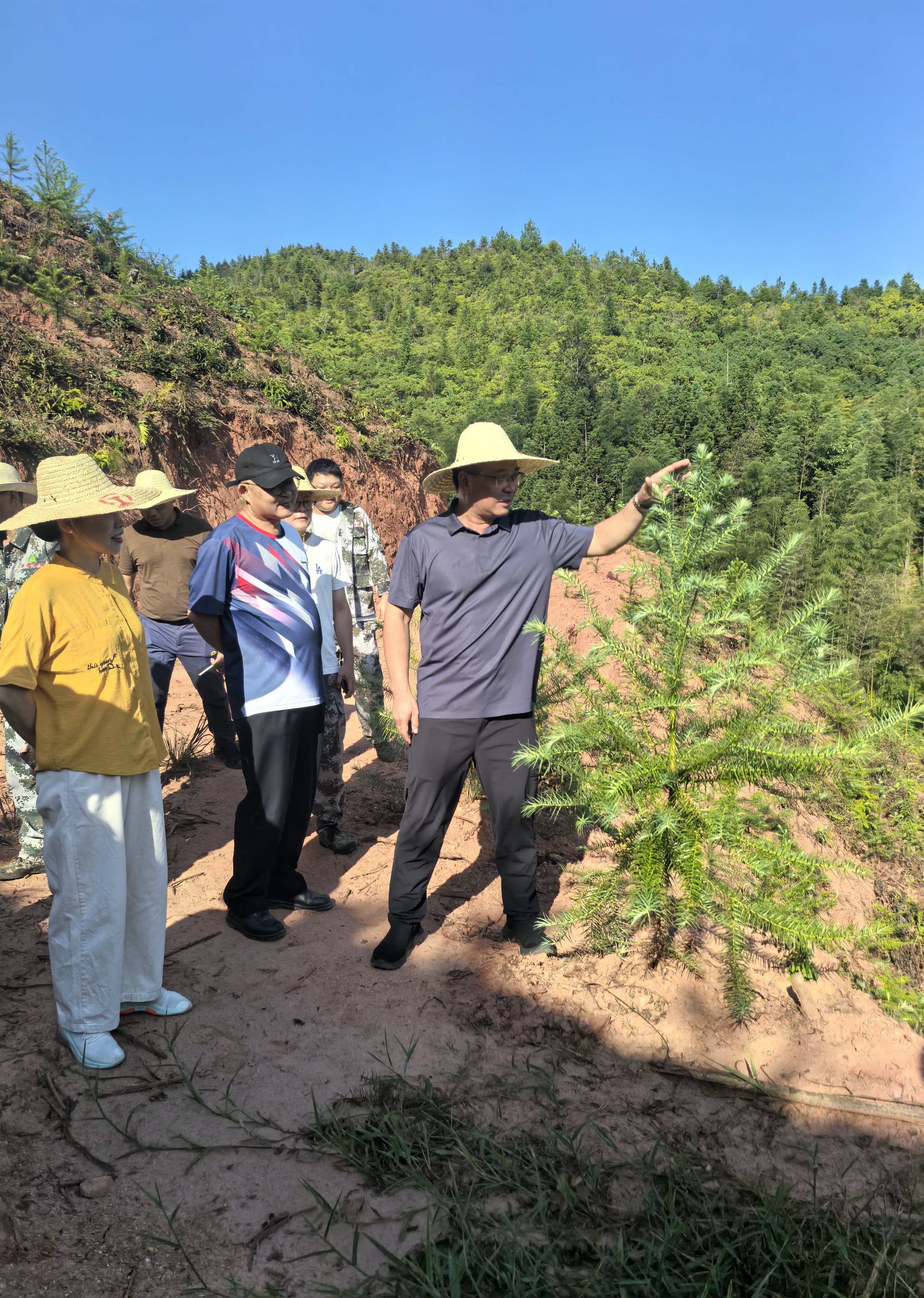 福建省林科院副院长郑仁华一行莅临福建9159金莎游艺场 指导森林资源培育工作